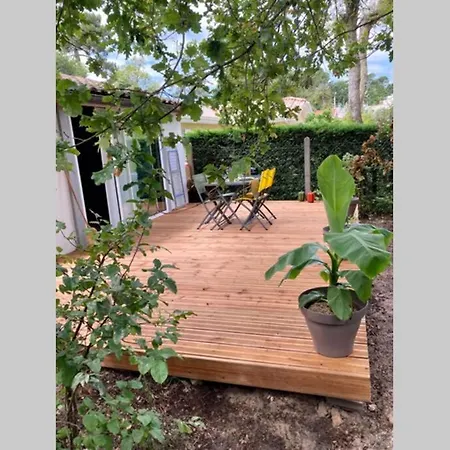 Avec Grande Terrasse Au Pyla * La Teste-de-Buch