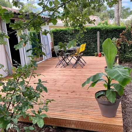 Avec Grande Terrasse Au Pyla